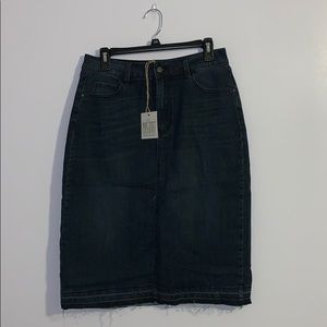 The Main Street Exchange Denim Skirt